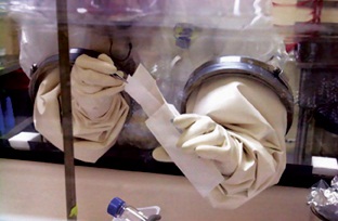 An investigator carefully examines one of the letters tainted with anthrax following the 2001 attack in the United States. (www.fbi.gov)